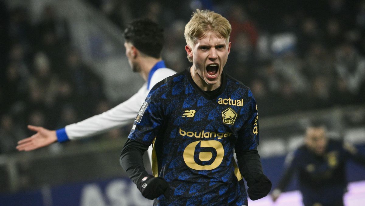 Les Dogues lillois en action lors du match aller face à Auxerre (victoire 3-4)