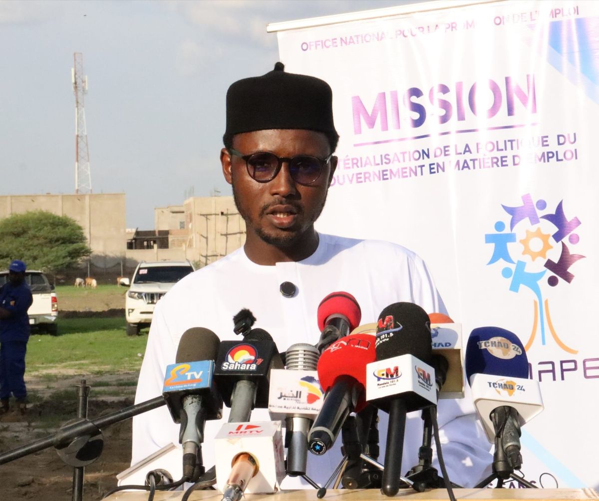 Jeunes formés aux métiers verts à N'Djamena