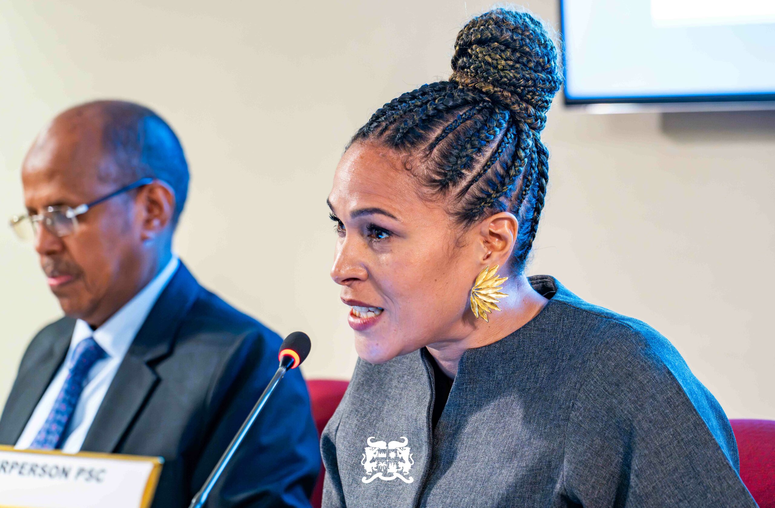 Réunion du Conseil de paix et de sécurité de l'Union africaine à New York